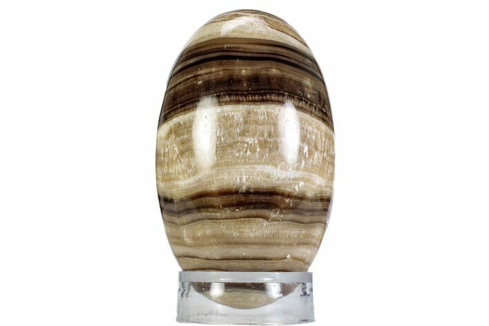 Swirling Polished Chocolate Calcite Egg - Pakistan #365821